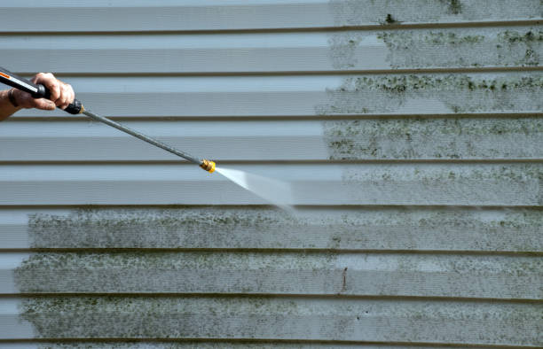 Best Roof Washing  in Mclean, TX